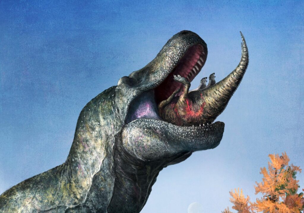 Tyrannosaurus-1536x1079